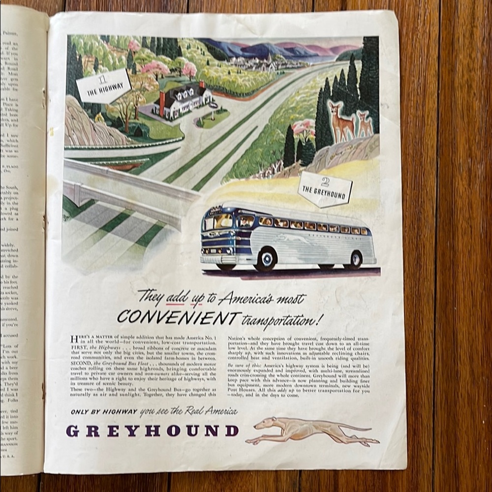 Vintage Greyhound Bus Advertisement